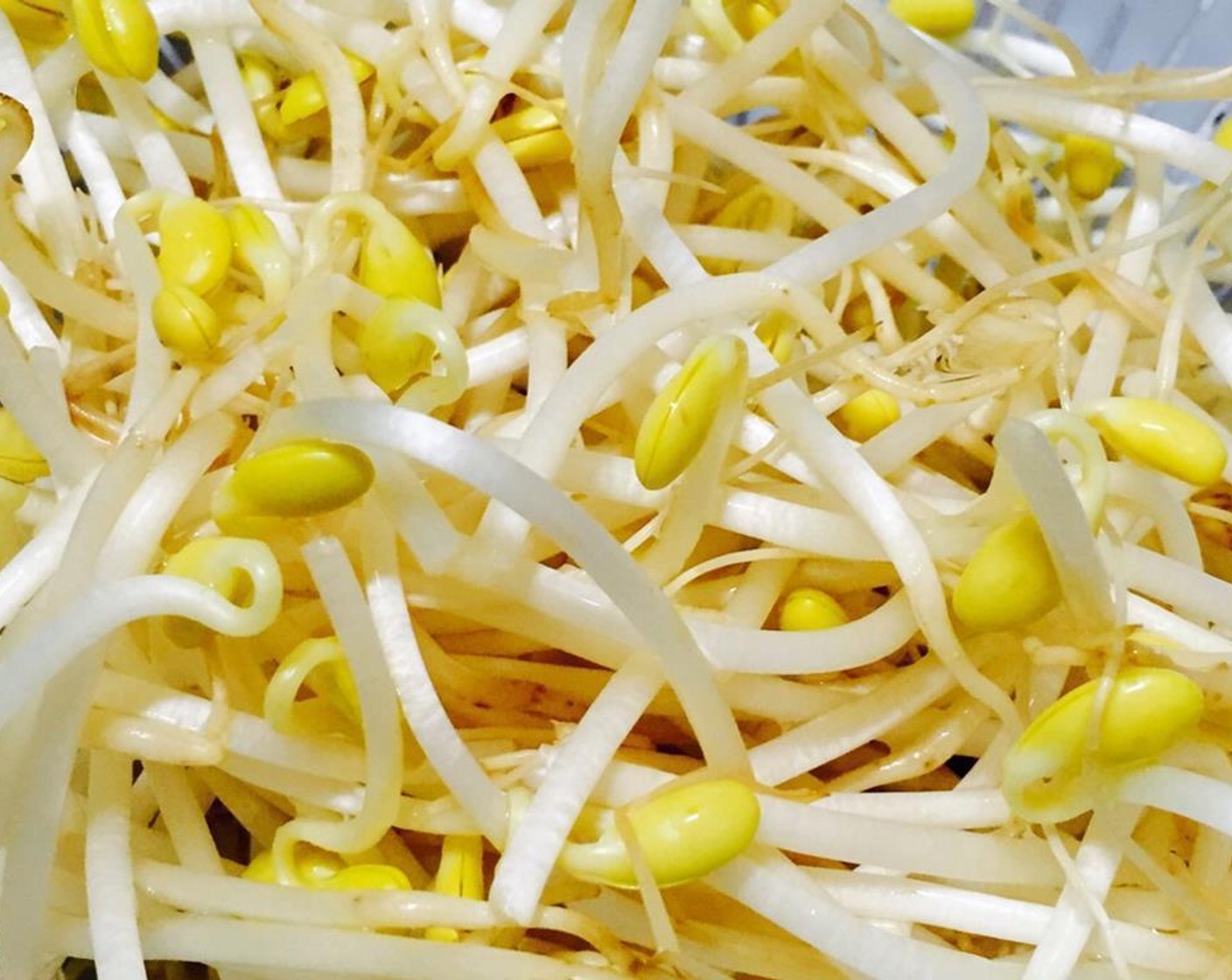 step 2 Rinse the Bean Sprouts (3 cups) thoroughly, discarding any that are no good.