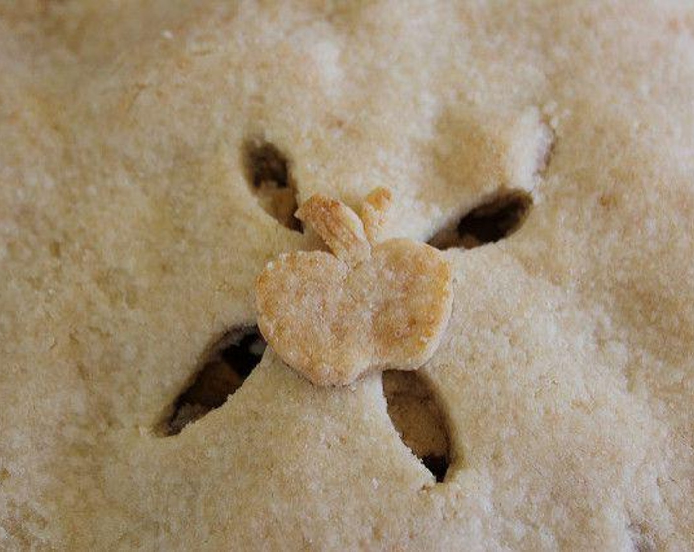 Gluten Free Vegan Pie Crust