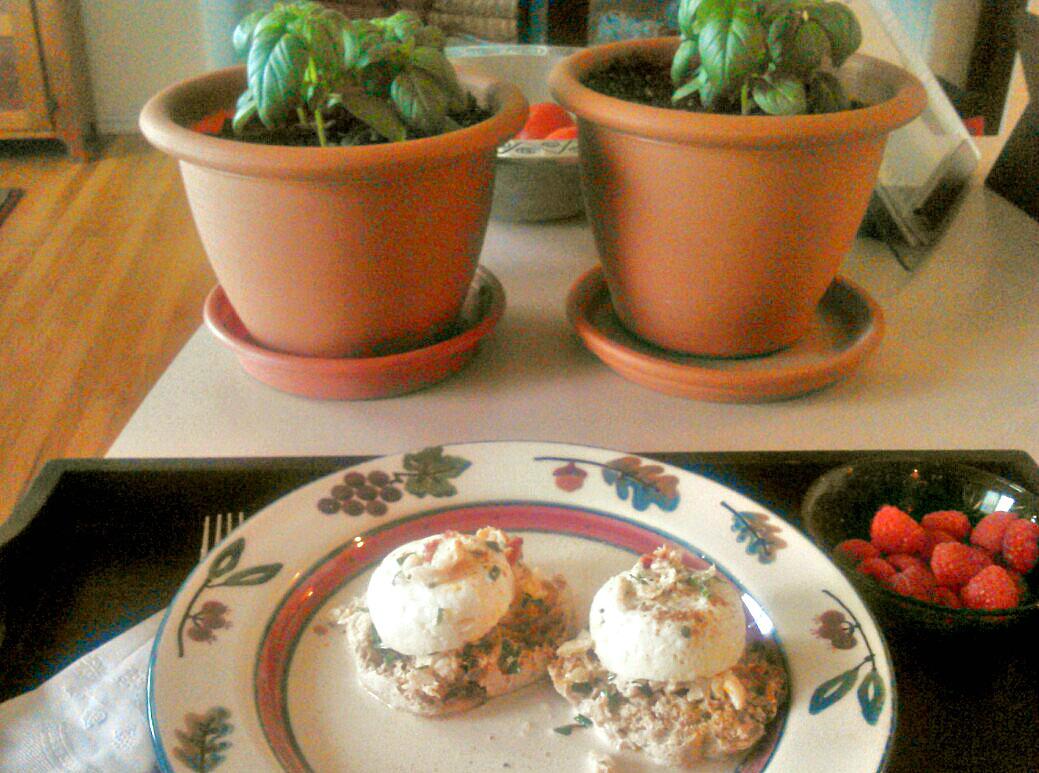 Lobster Eggs Benedict Recipe SideChef