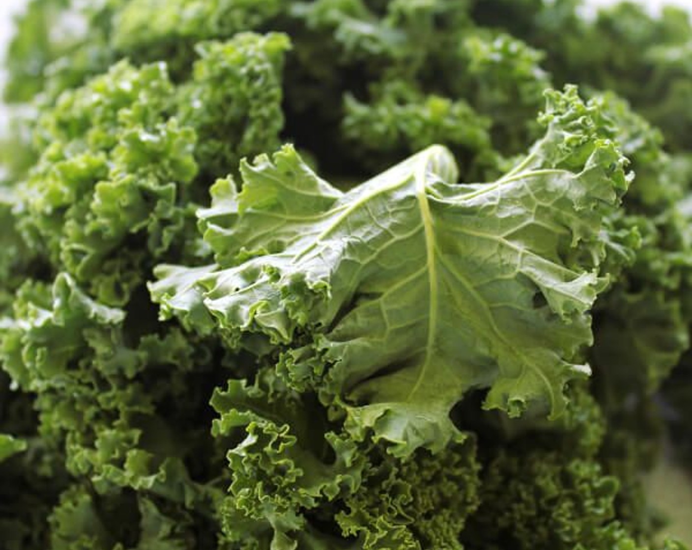 step 1 Slice the Kale Leaves (6) from the stalks, you don’t want any part of the stalk), and chop the kale into small pieces.