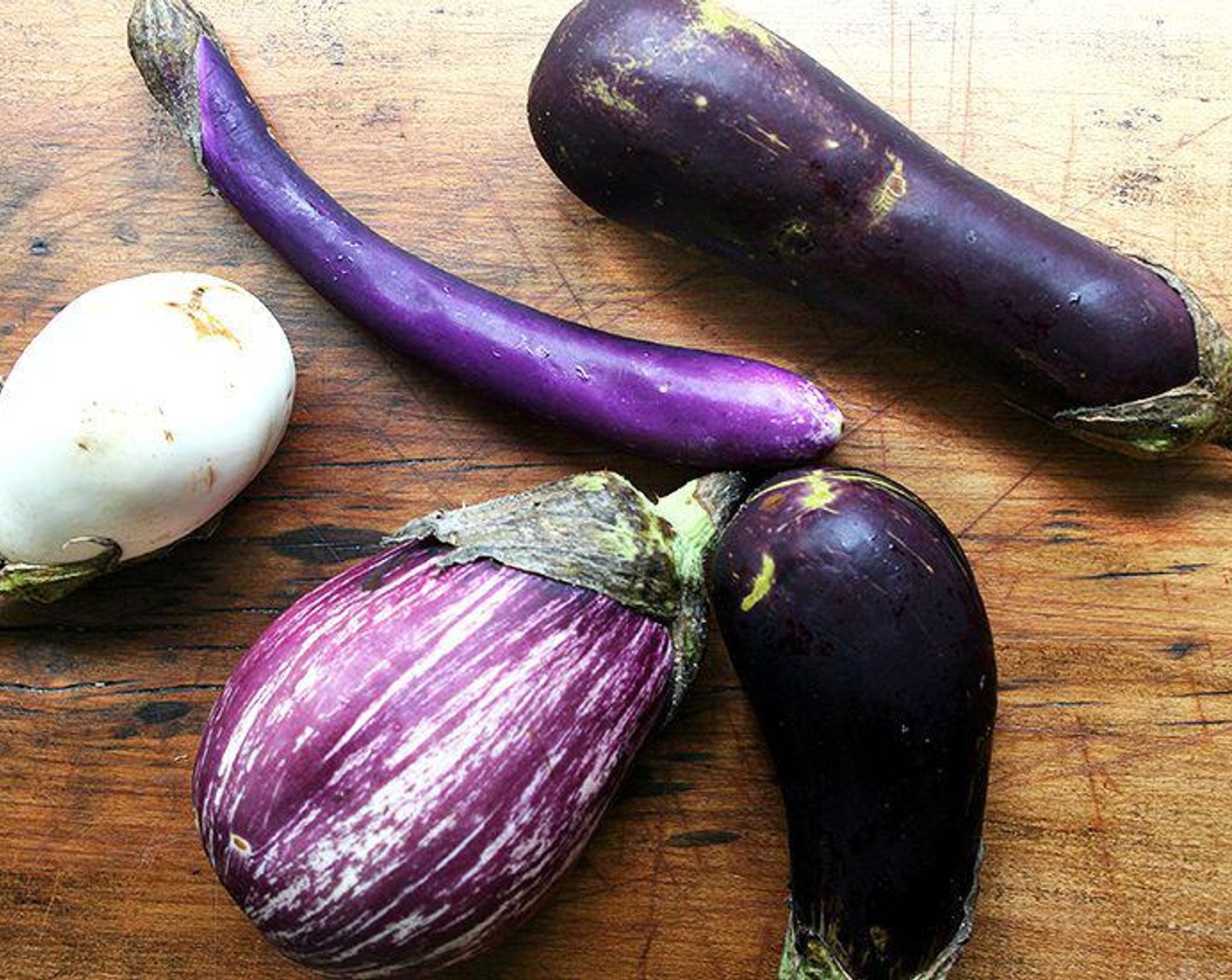 step 2 Cut the Globe Eggplants (2) into cubes about 3/4-inch square, toss them lightly with a bit of Olive Oil (as needed) season with Kosher Salt (to taste), and spread them out in a single layer on a sheet pan.