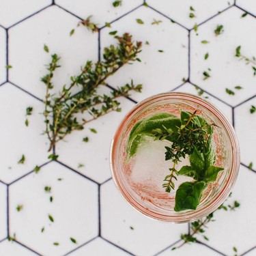 Lemon Thyme Gin and Tonic Recipe | SideChef