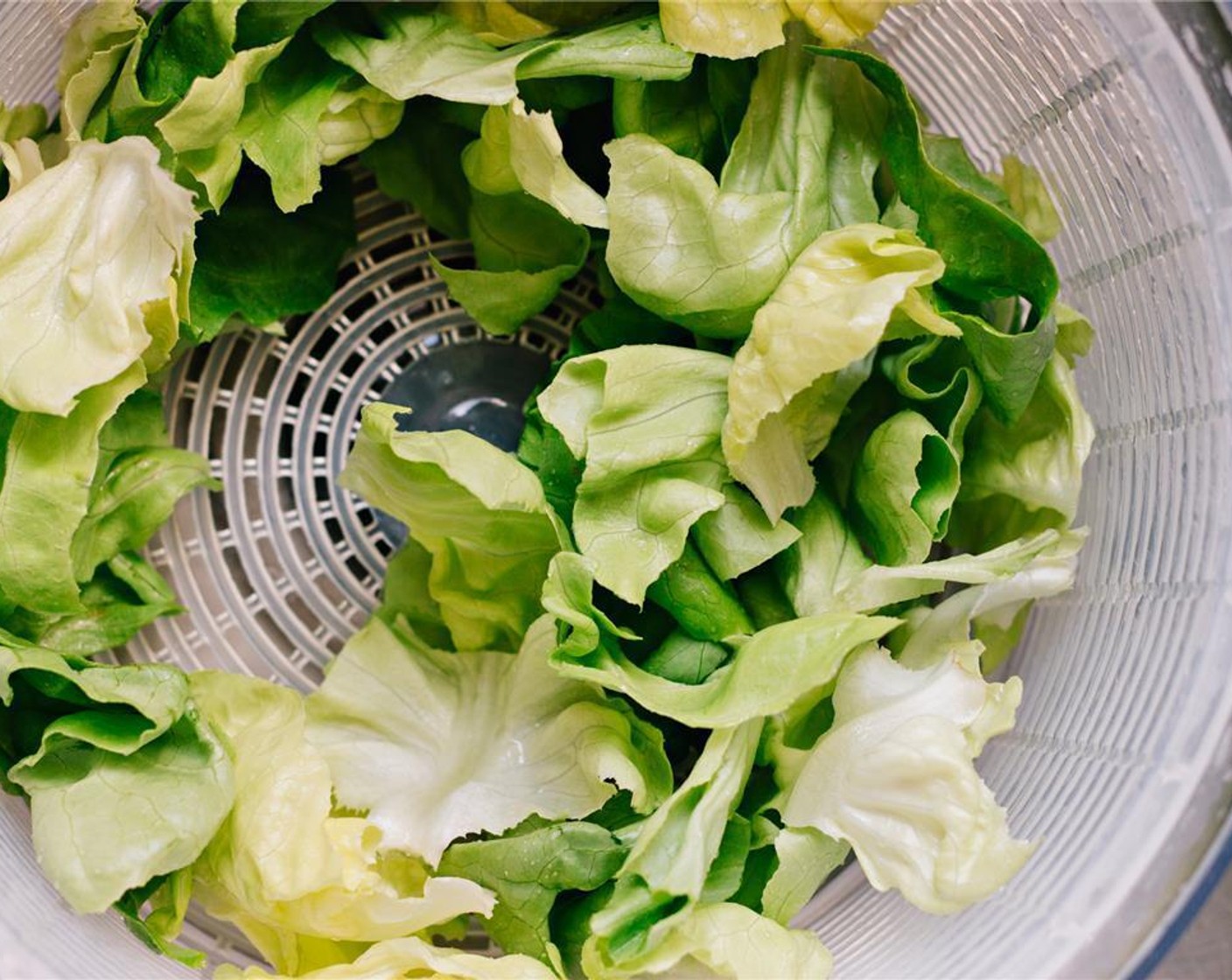 step 6 Wash and gently tear apart the Baby Romaine (2 heads).