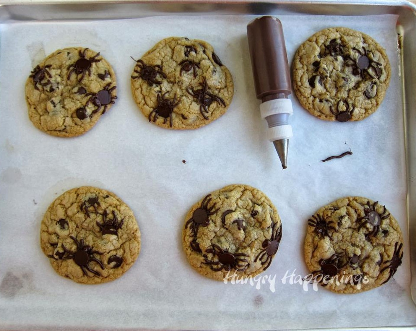 step 8 Pour into a squeeze-it mold painter bottle fitted with a #2 round pastry tip, or a disposable pastry bag or zip top bag with the tip snipped off. Pipe on spider heads and legs around some of the larger chocolate chips. Allow to dry.