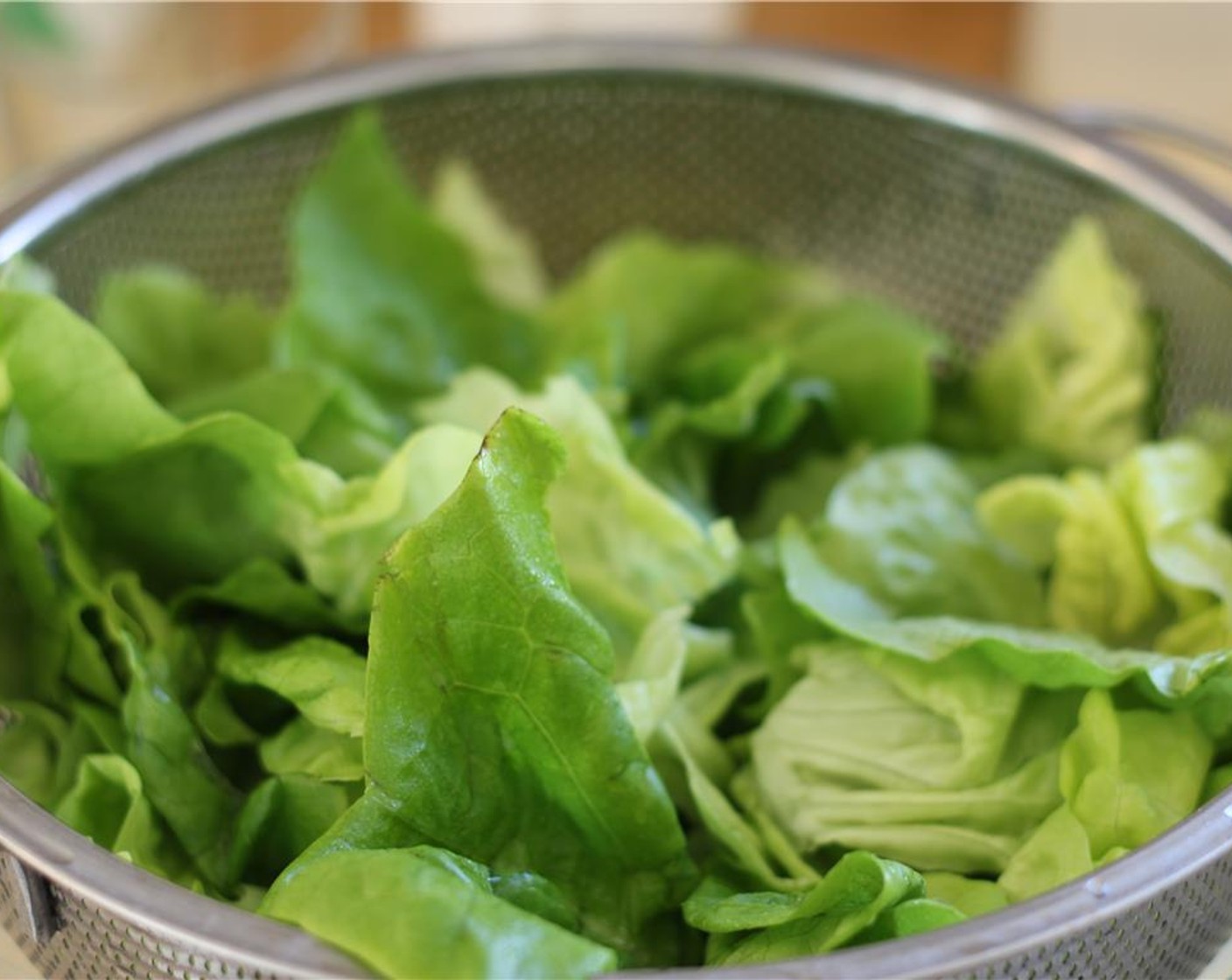 step 12 Wash and dry Butter Lettuce (1 head).
