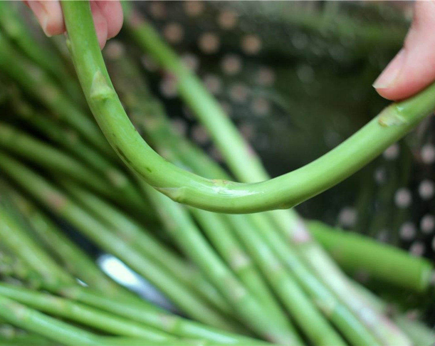 step 3 Take one spear of Asparagus (6 1/2 cups) and, using both hands, one at each end of the spear, break it in two. It will naturally break at the right spot. Then cut the rest of the spears using the broken one as a guide. Discard the woody ends.