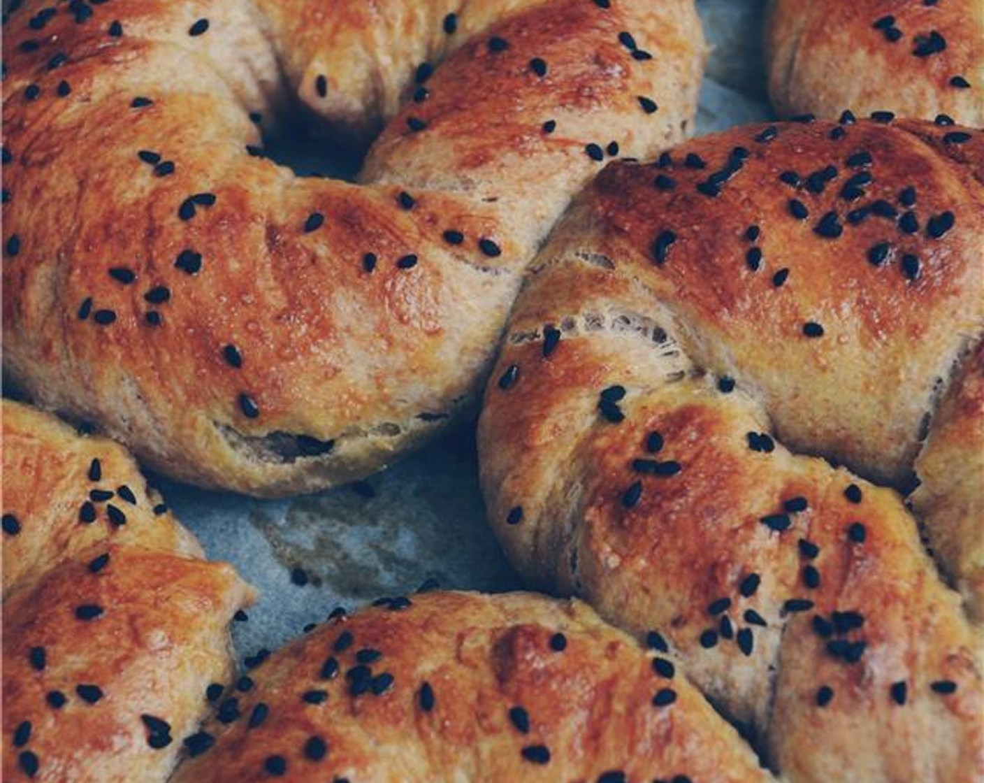 Whole Wheat Black Olive Rings