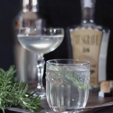 Rosemary Gin and Tonic Recipe | SideChef