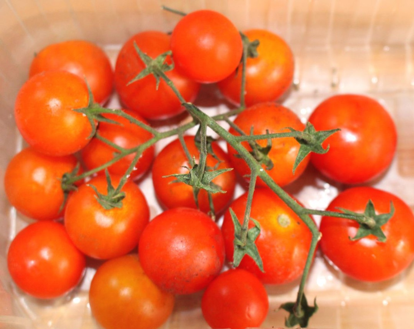 step 4 Clean and wash the Grape Tomatoes (20) and remove the vine.