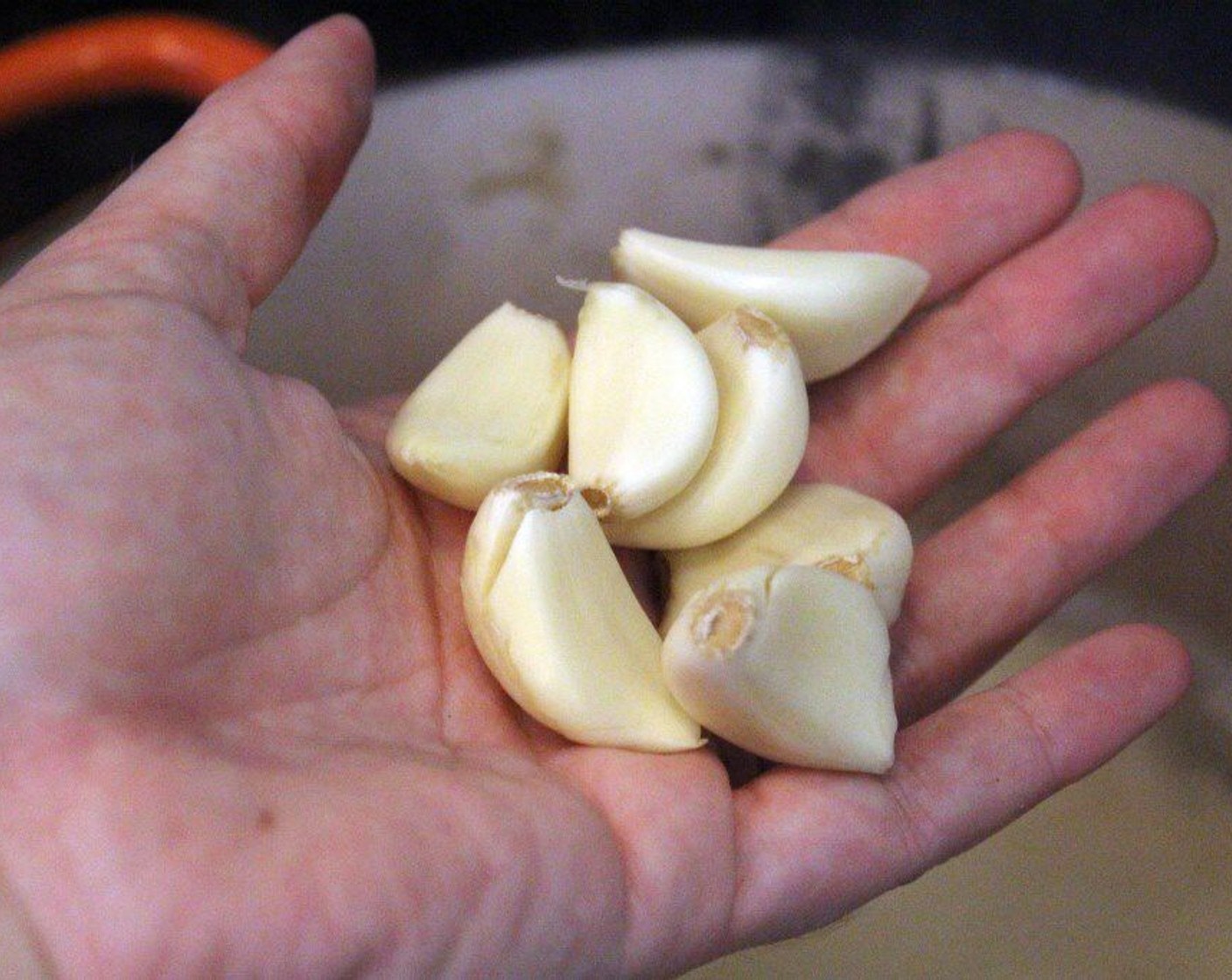 step 9 Then, add the short ribs back to the pot and toss in the garlic .