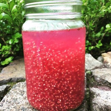 Chia Seed and Ultima Electrolyte Drink Recipe | SideChef