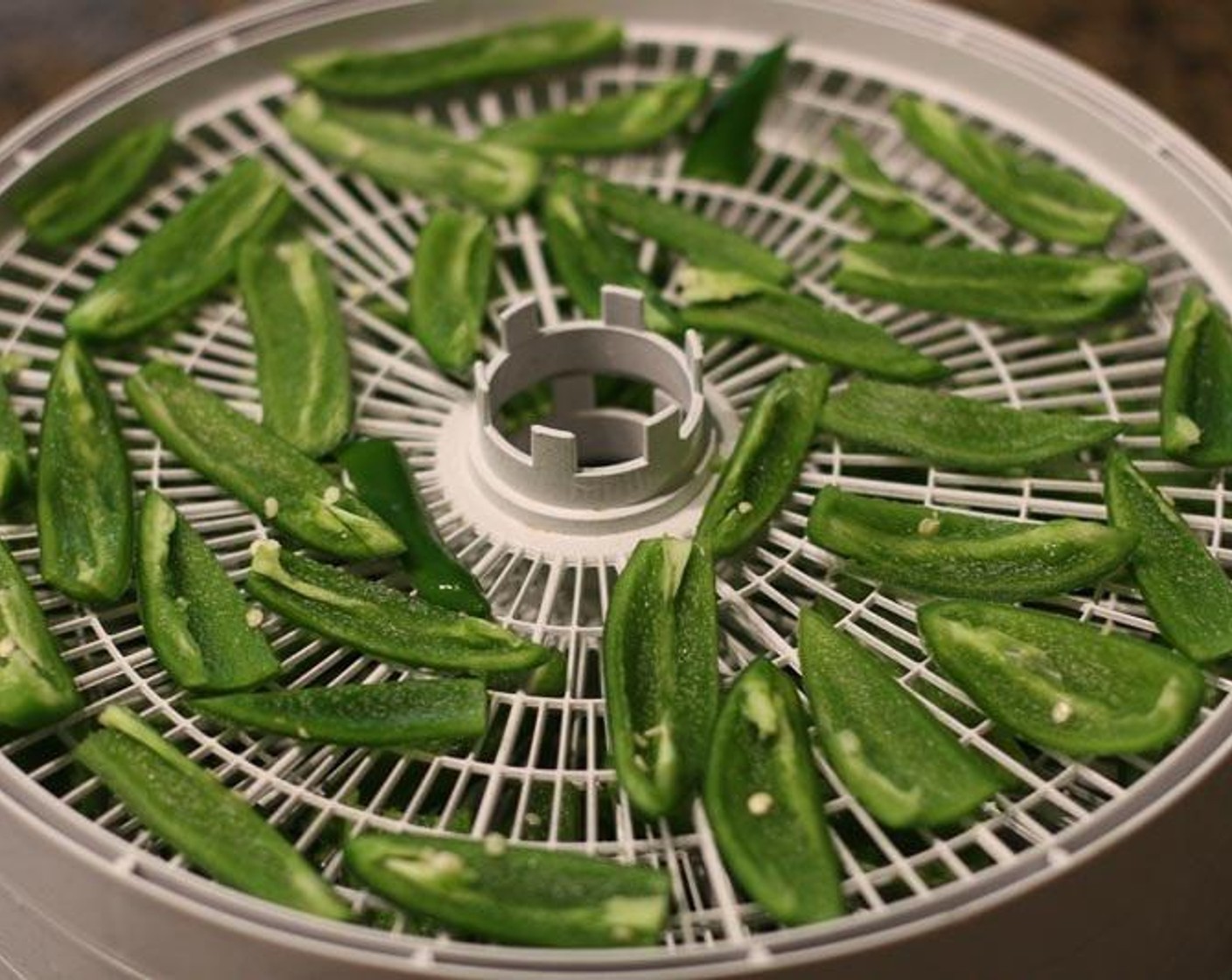 step 2 In a dehydrator, dehydrate the jalapeños according to your directions. I dehydrated the peppers at 145 degrees F (63 degrees C) for 15 hours. I recommend doing this outdoors because of the strong fumes.