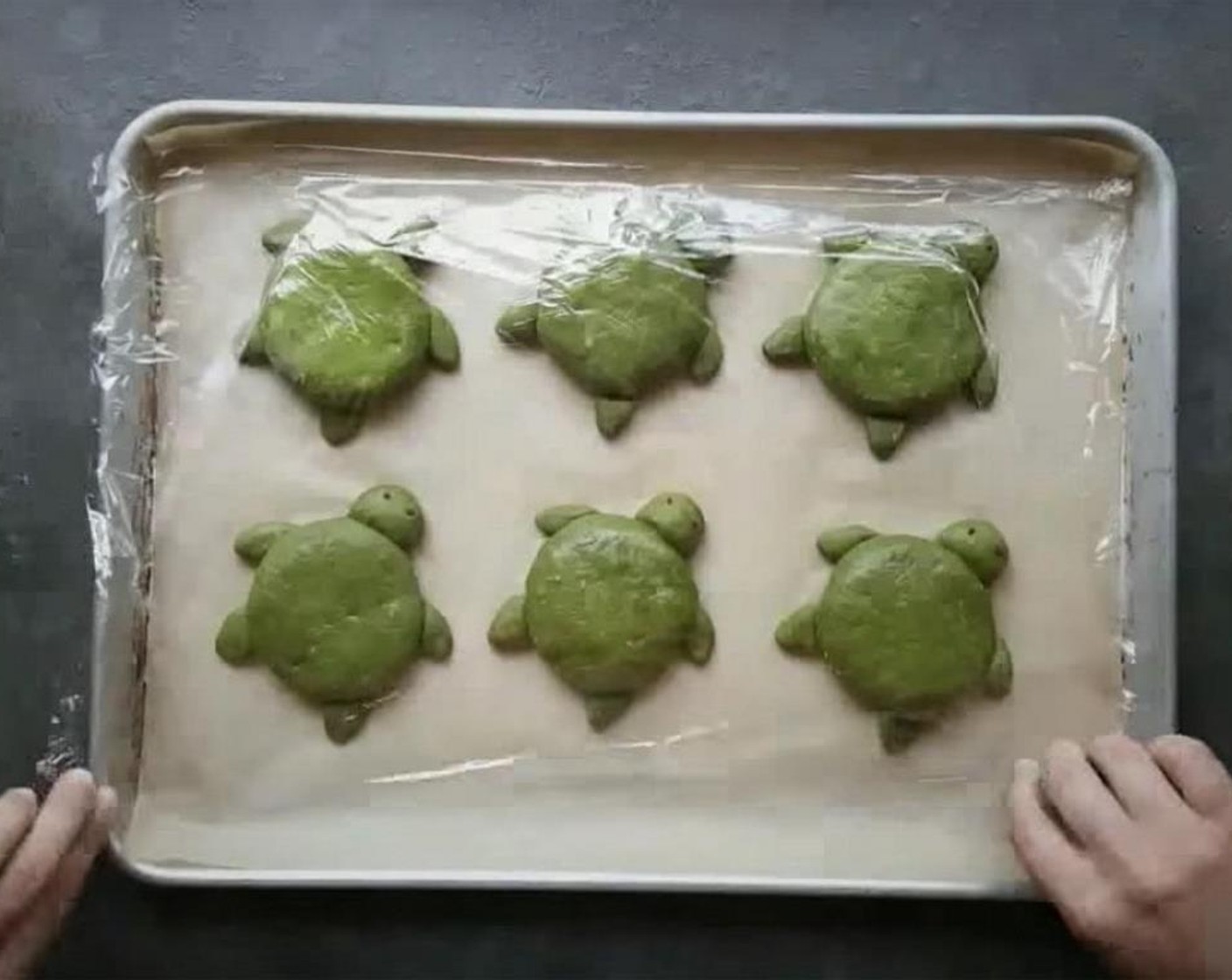 step 18 Cover the completed turtle rolls with plastic wrap and put in a warm place to rise for about 30 minutes.